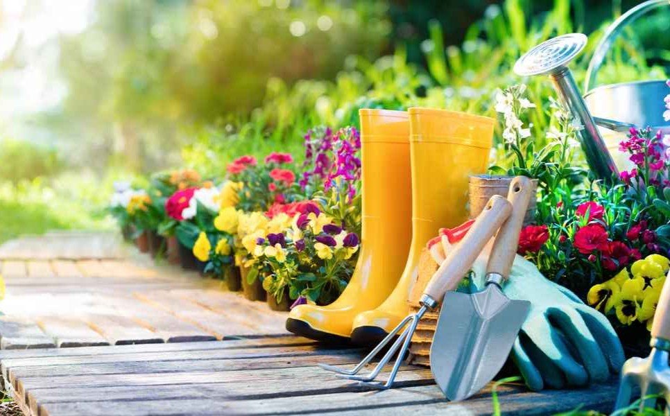 Gardening